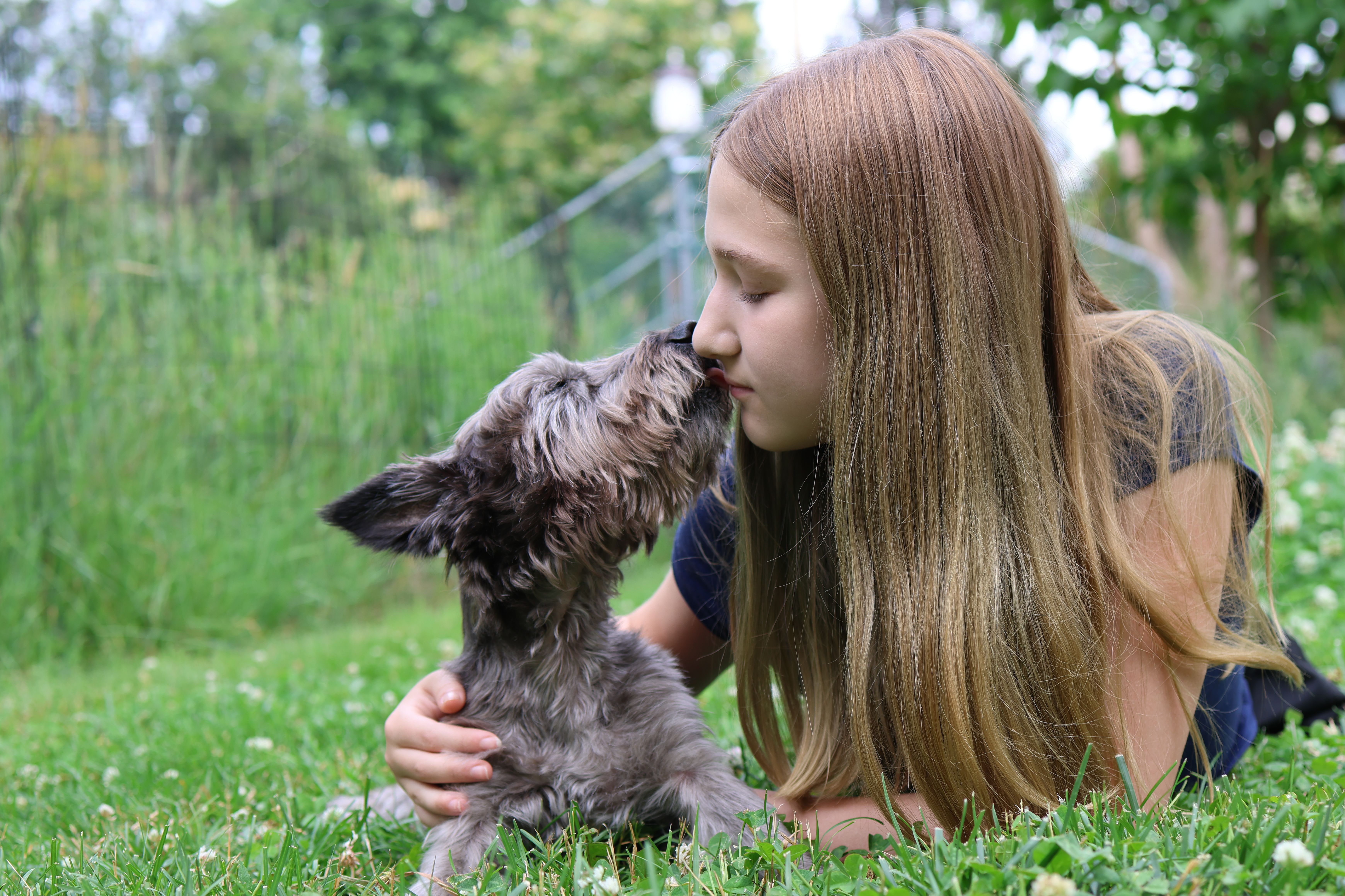Person holding and kissing a dog outdoors